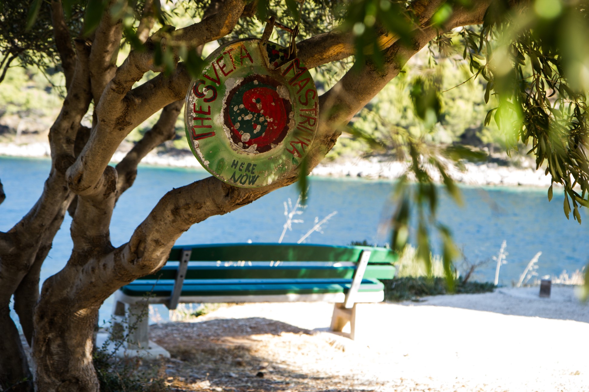 14 łąweczka koo nas.jpg