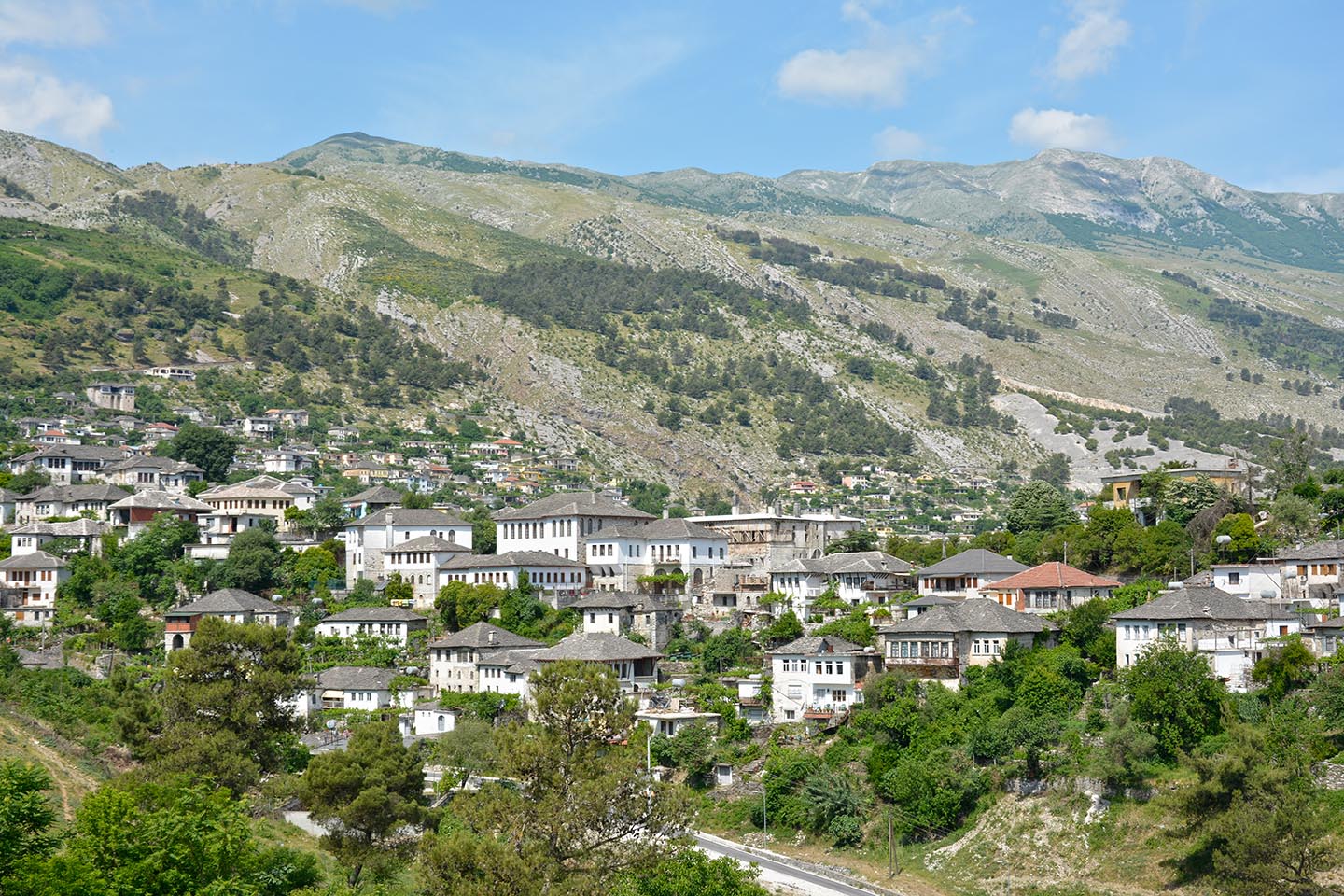 Gjirokastra4.jpg