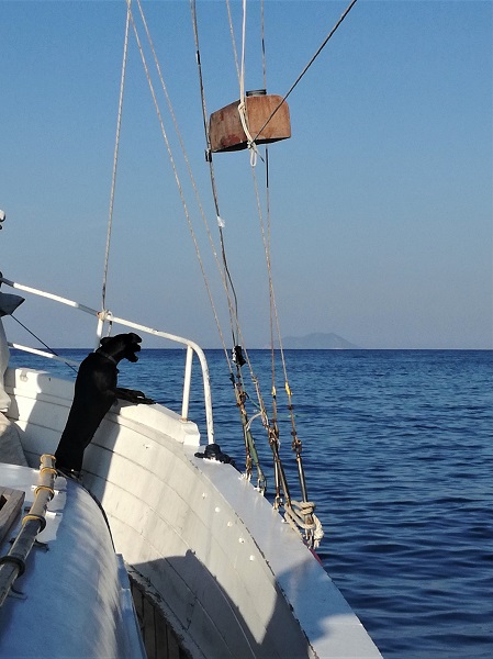 IMG_20180909_081809 (1).jpg