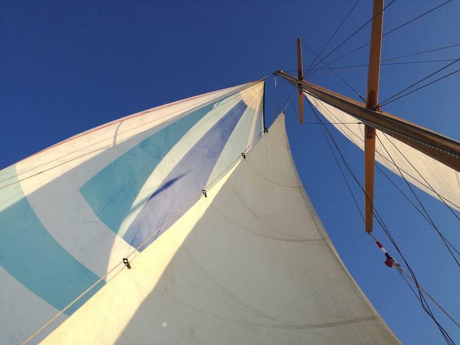 IMG_20180909_183935 (1).jpg