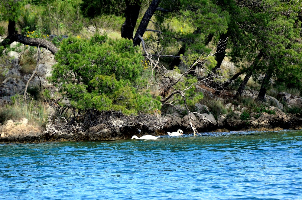 DSC_1048 - Kopia.JPG