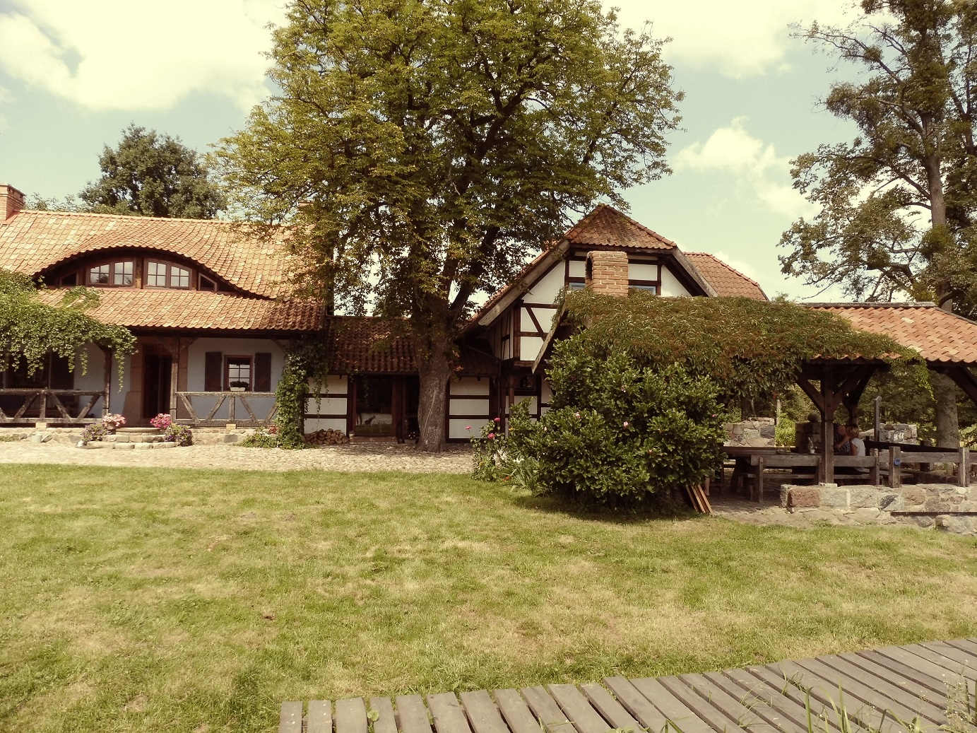 P1080625-2.jpg