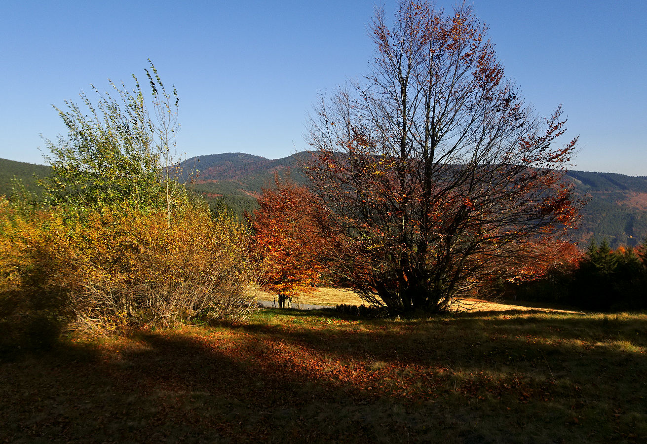 DSC03896.JPG