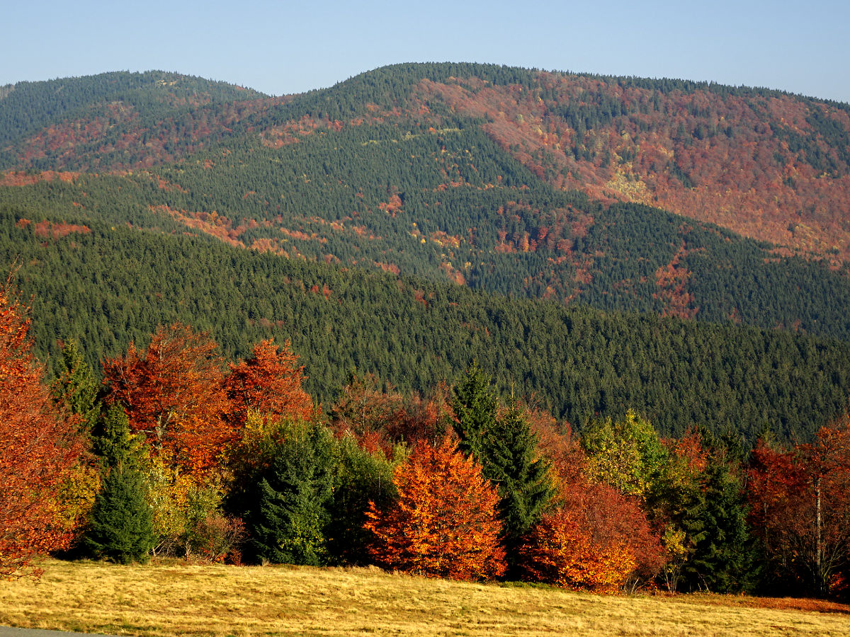 DSC03898.JPG