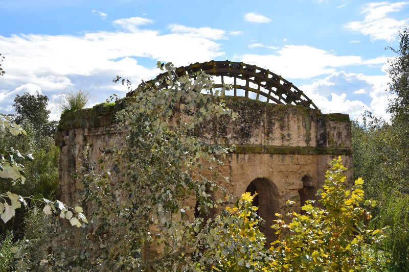 DSC_0807.jpg