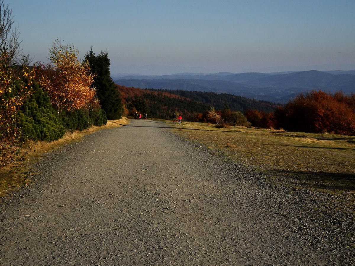 DSC03946.JPG