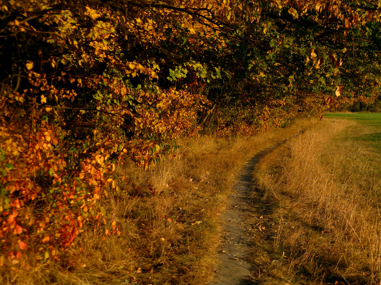 P1010020.JPG
