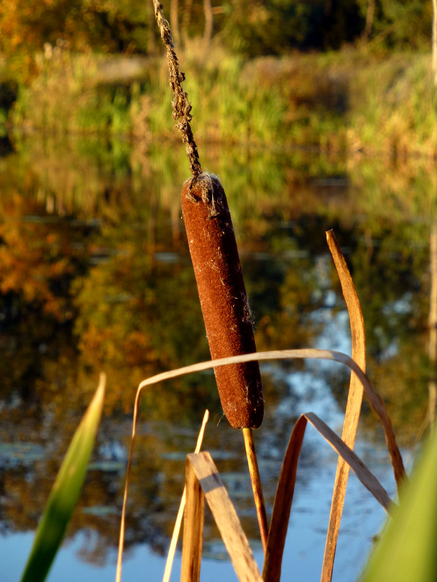 P1010083.JPG