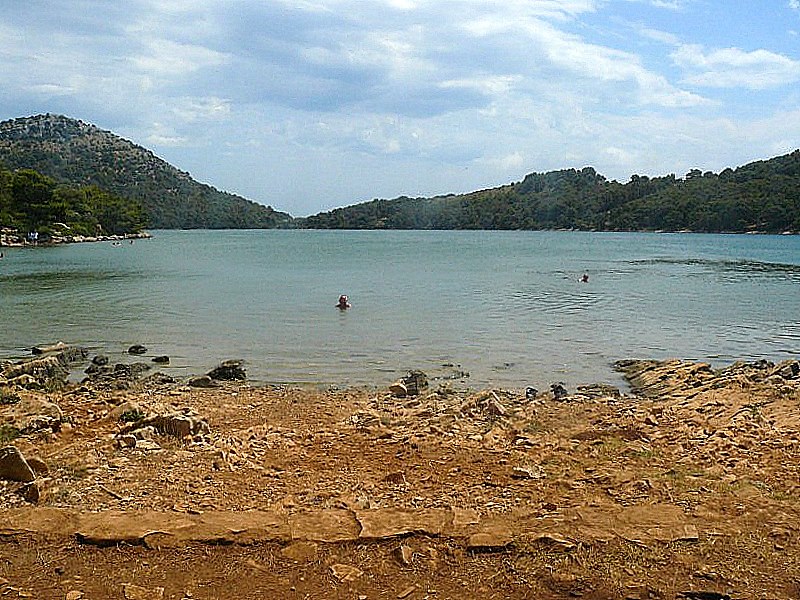 P1090029 [800x600].jpg