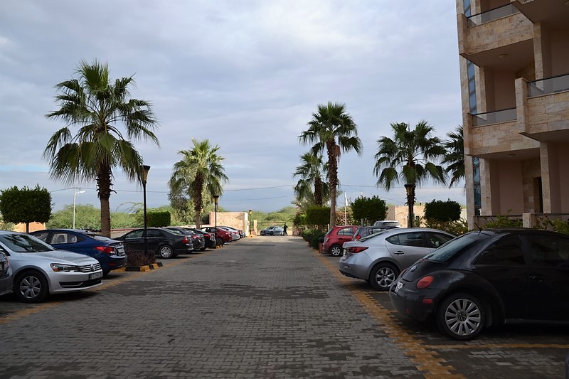 DSC_0006 (Kopiowanie).JPG