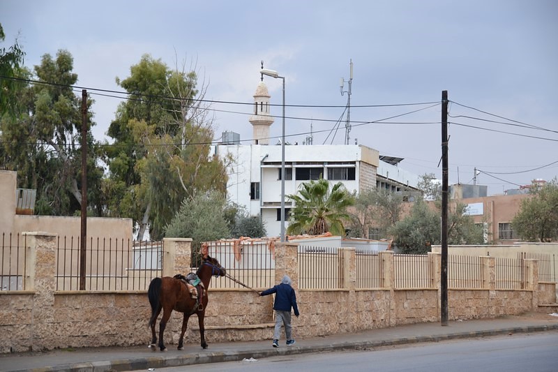 DSC_0080 (Kopiowanie).JPG