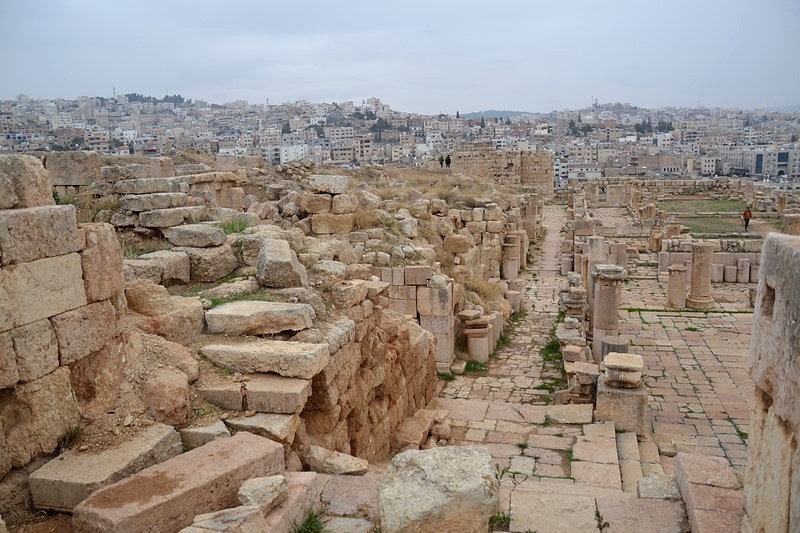 DSC_0151 (Kopiowanie).JPG