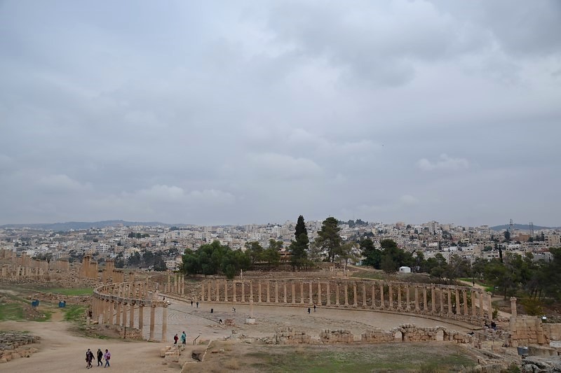 DSC_0256 (Kopiowanie).JPG