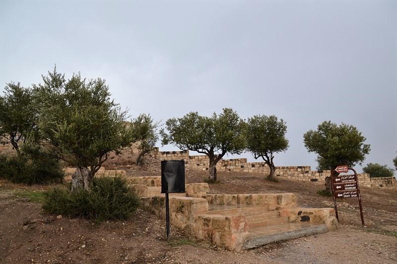 DSC_0329 (Kopiowanie).JPG