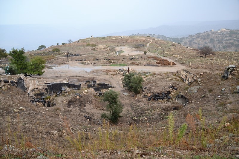 DSC_0337 (Kopiowanie).JPG