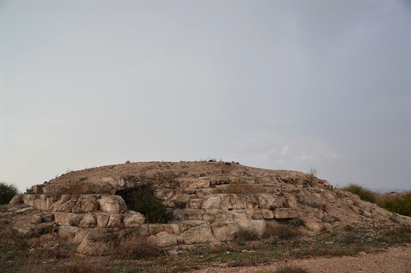 DSC_0356 (Kopiowanie).JPG