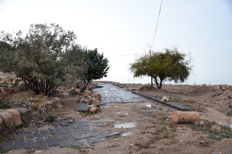 DSC_0363 (Kopiowanie).JPG