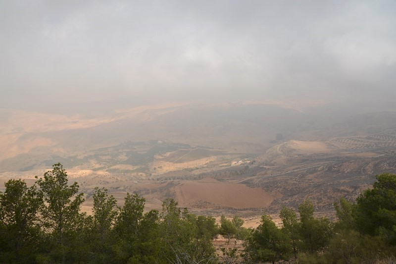 DSC_0511i (Kopiowanie).JPG