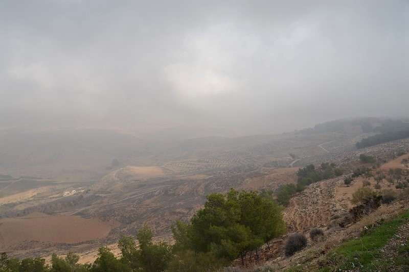 DSC_0511j (Kopiowanie).JPG