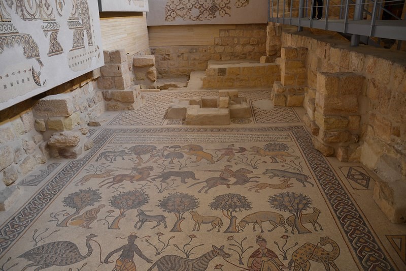 DSC_0512 (Kopiowanie).JPG