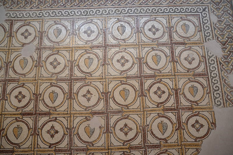 DSC_0514 (Kopiowanie).JPG