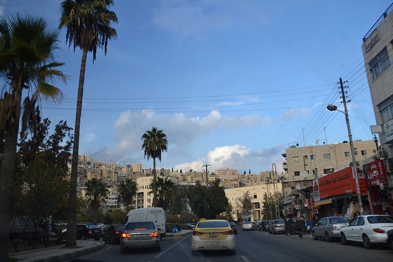 DSC_0683 (Kopiowanie).JPG