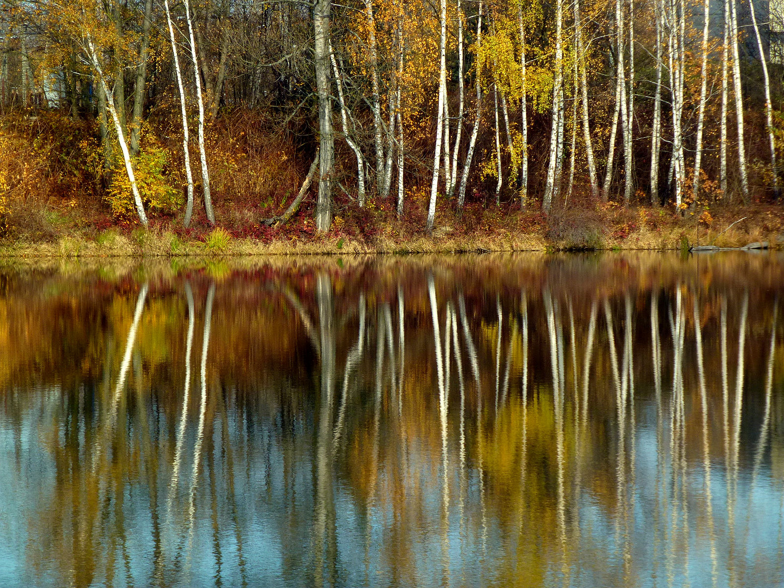 P1010735.JPG