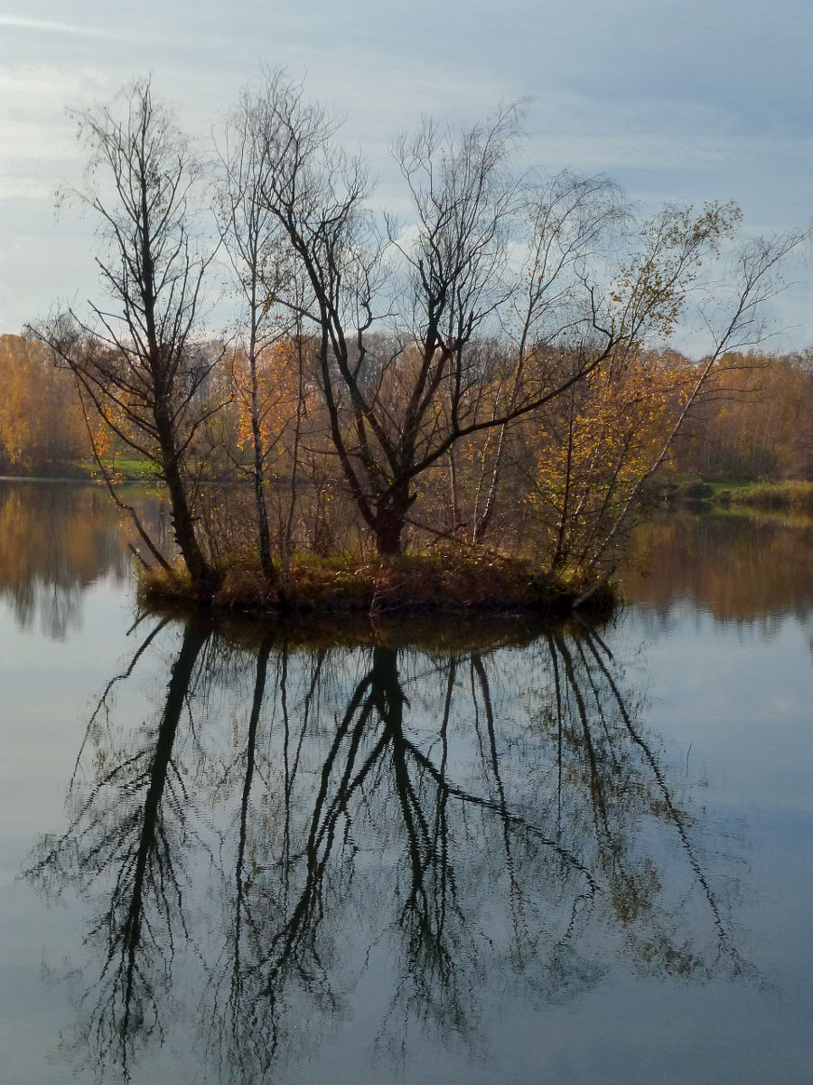 P1010742.JPG