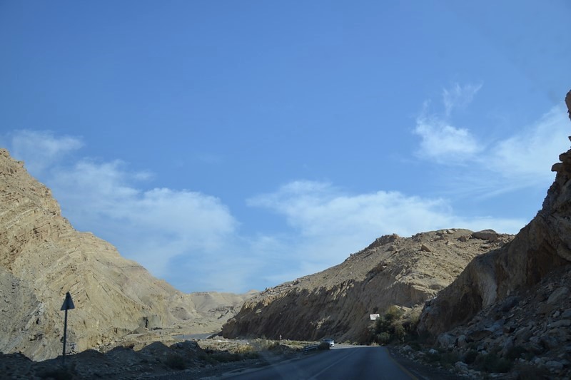 DSC_0897 (Kopiowanie).JPG