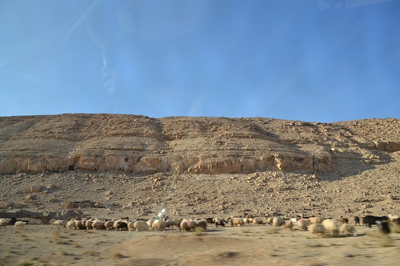 DSC_0051 (Kopiowanie).JPG