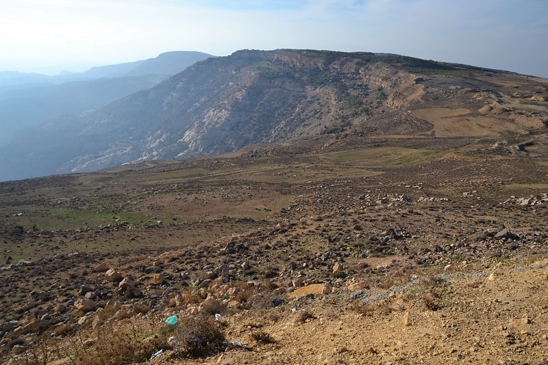 DSC_0087 (Kopiowanie).JPG