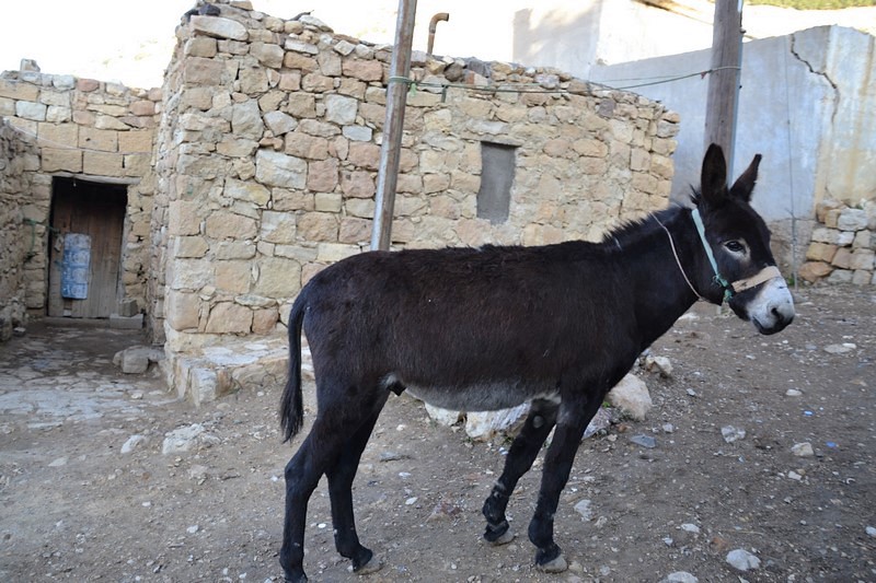 DSC_0127 (Kopiowanie).JPG