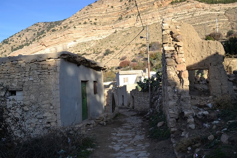 DSC_0139 (Kopiowanie).JPG