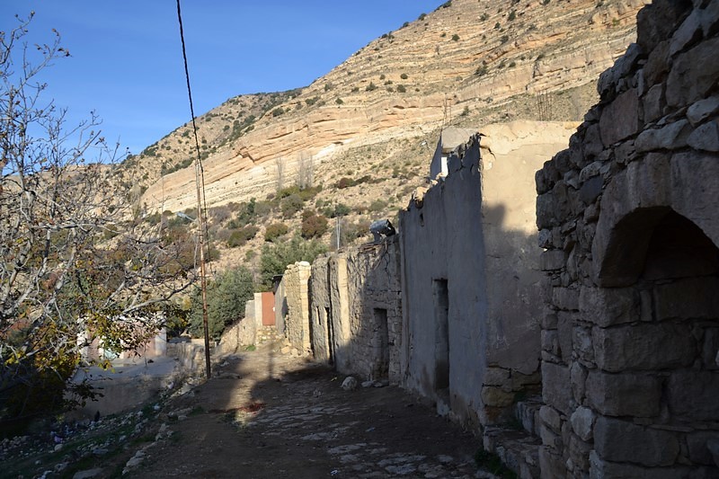 DSC_0142 (Kopiowanie).JPG