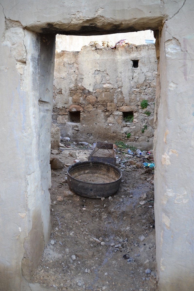 DSC_0146 (Kopiowanie).JPG