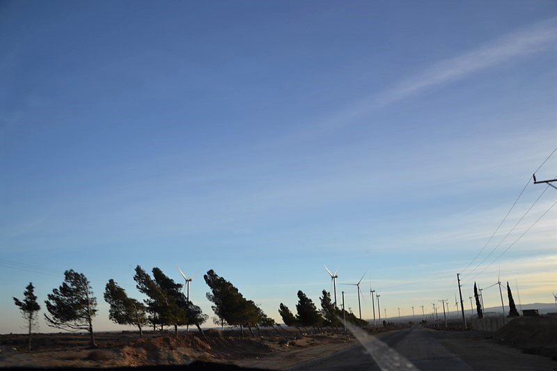 DSC_0192 (Kopiowanie).JPG