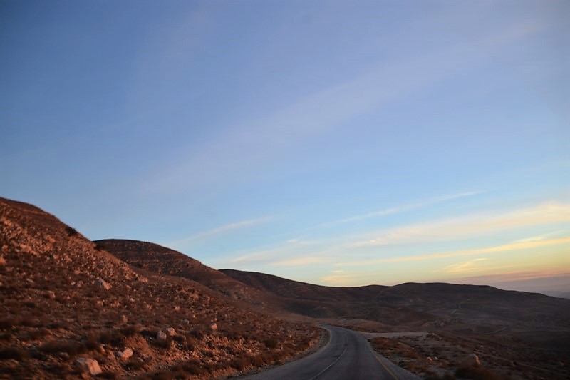 DSC_0217 (Kopiowanie).JPG