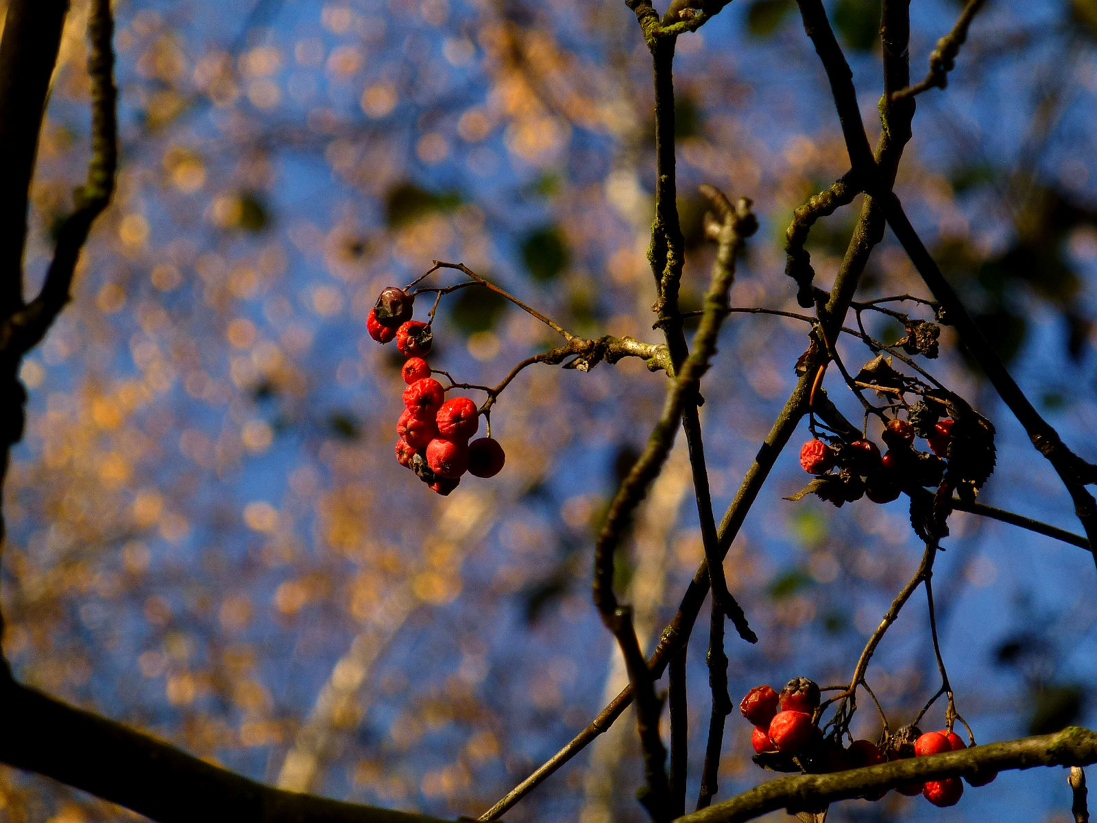 P1010825.JPG