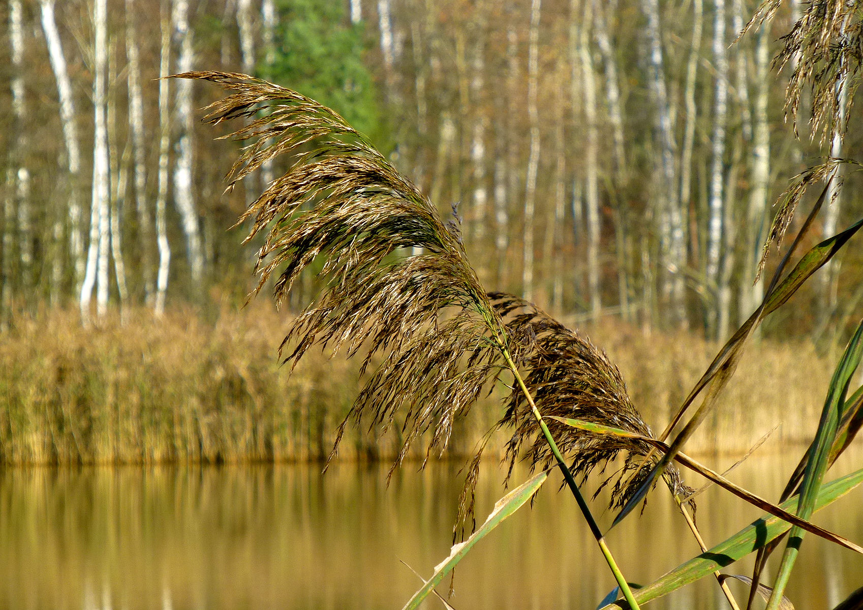 P1010874.JPG