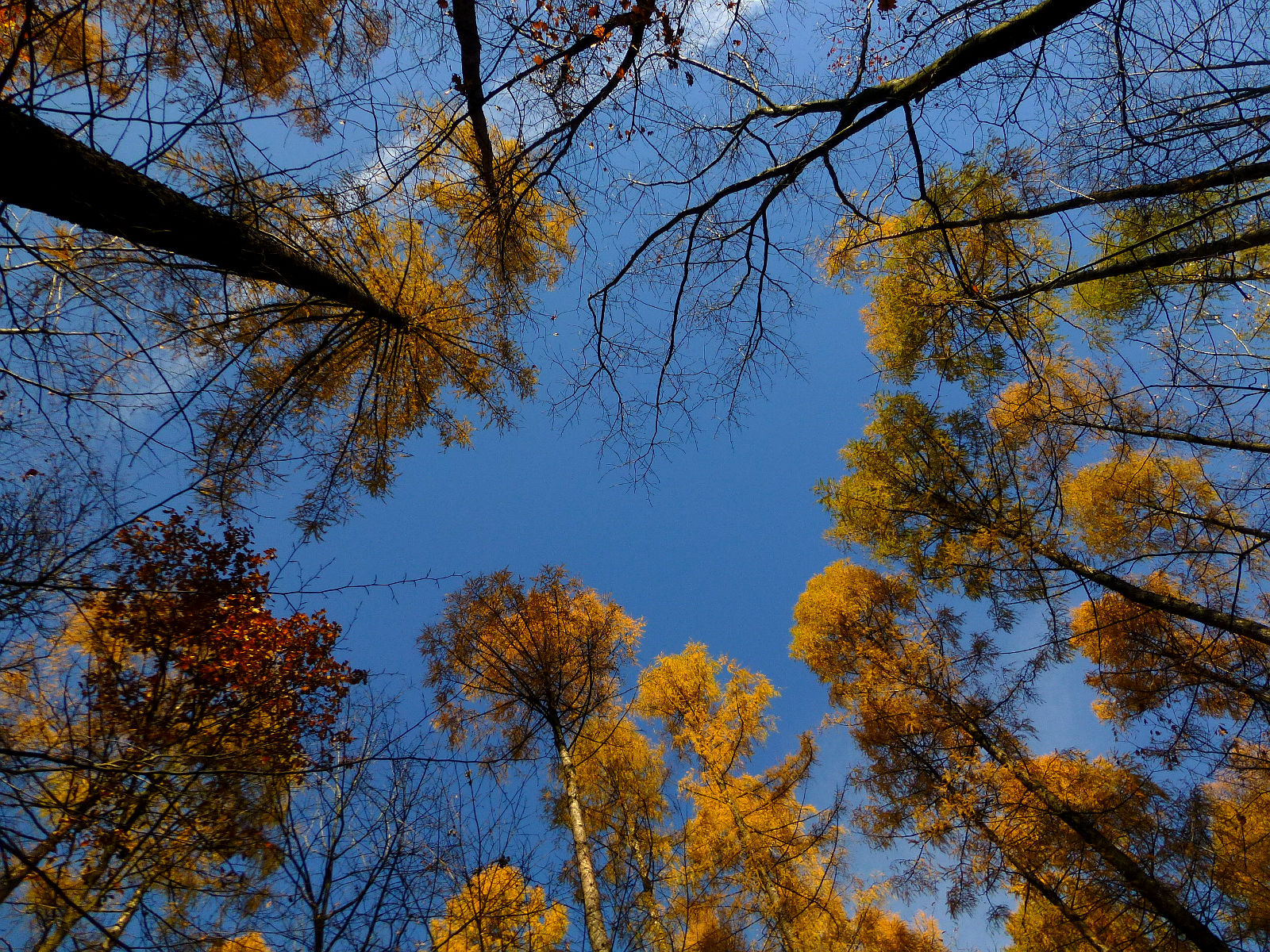 P1010933.JPG