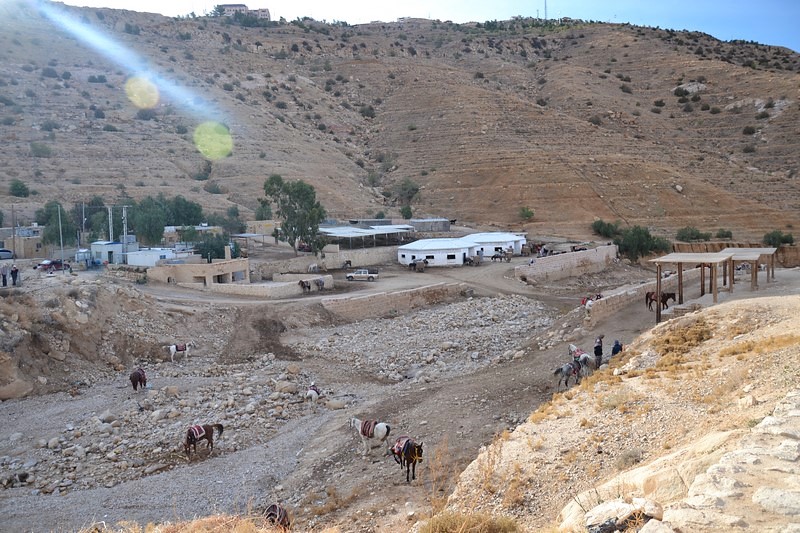 DSC_0326 (Kopiowanie).JPG