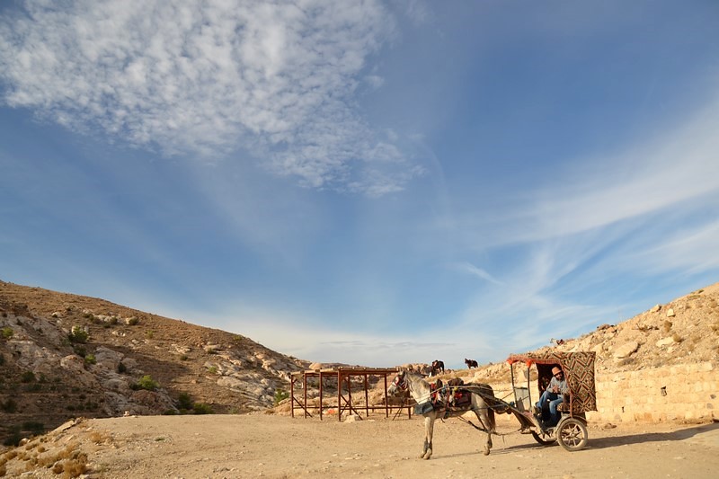 DSC_0327 (Kopiowanie).JPG