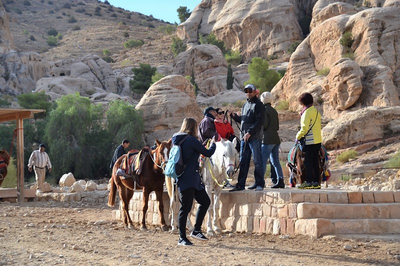 DSC_0334 (Kopiowanie).JPG