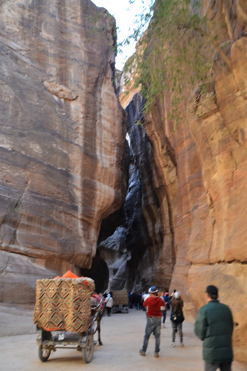 DSC_0348 (Kopiowanie).JPG