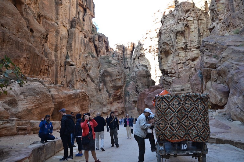 DSC_0355 (Kopiowanie).JPG