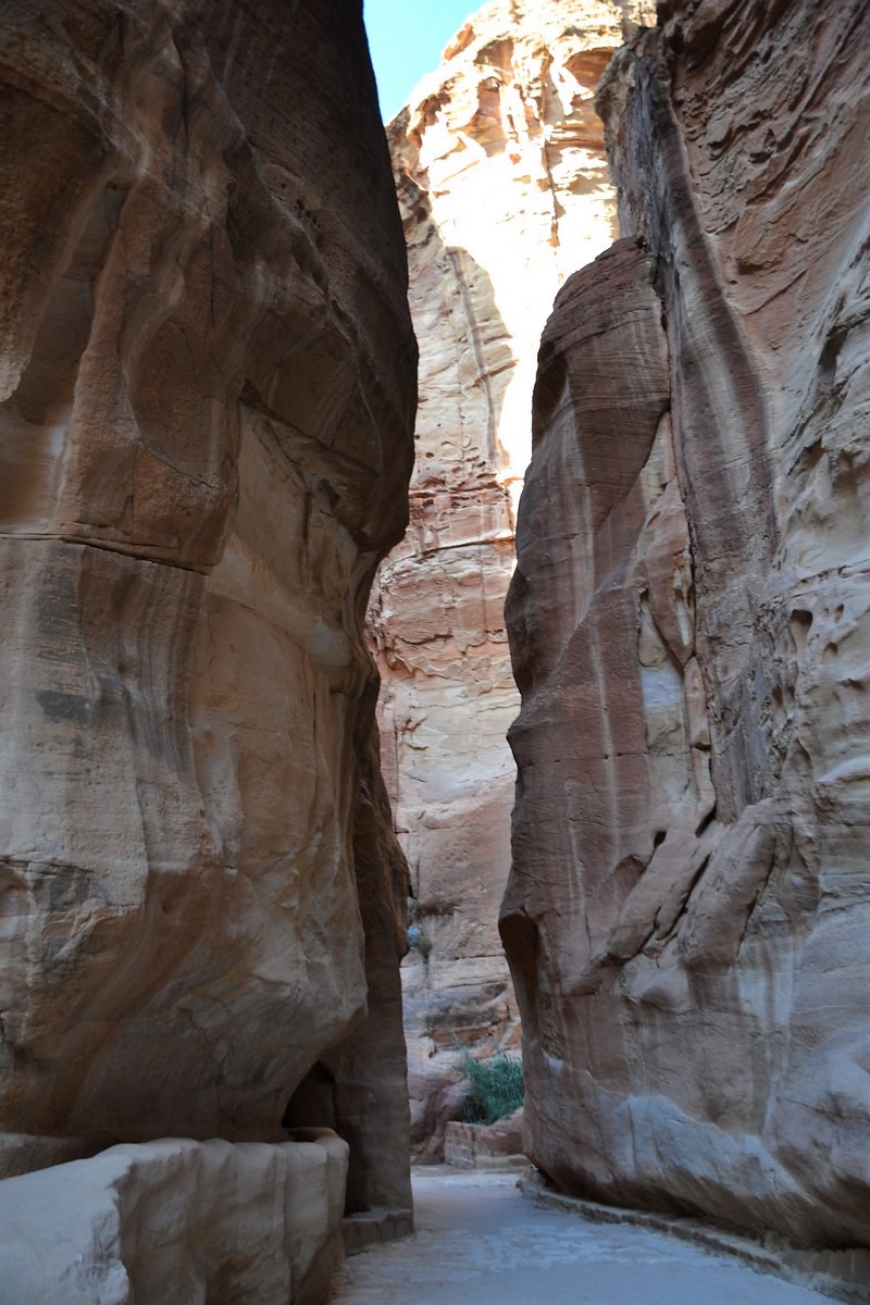 DSC_0357 (Kopiowanie).JPG