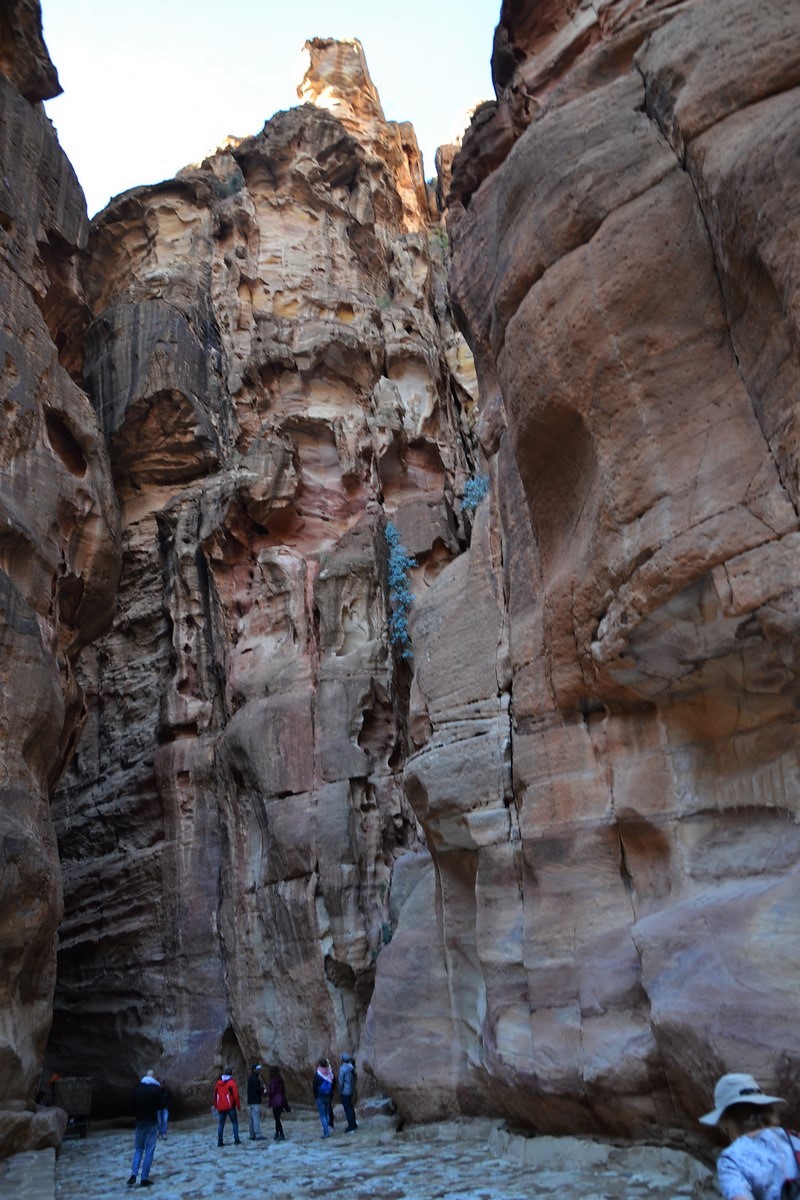 DSC_0360 (Kopiowanie).JPG