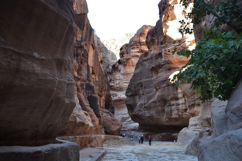 DSC_0367 (Kopiowanie).JPG