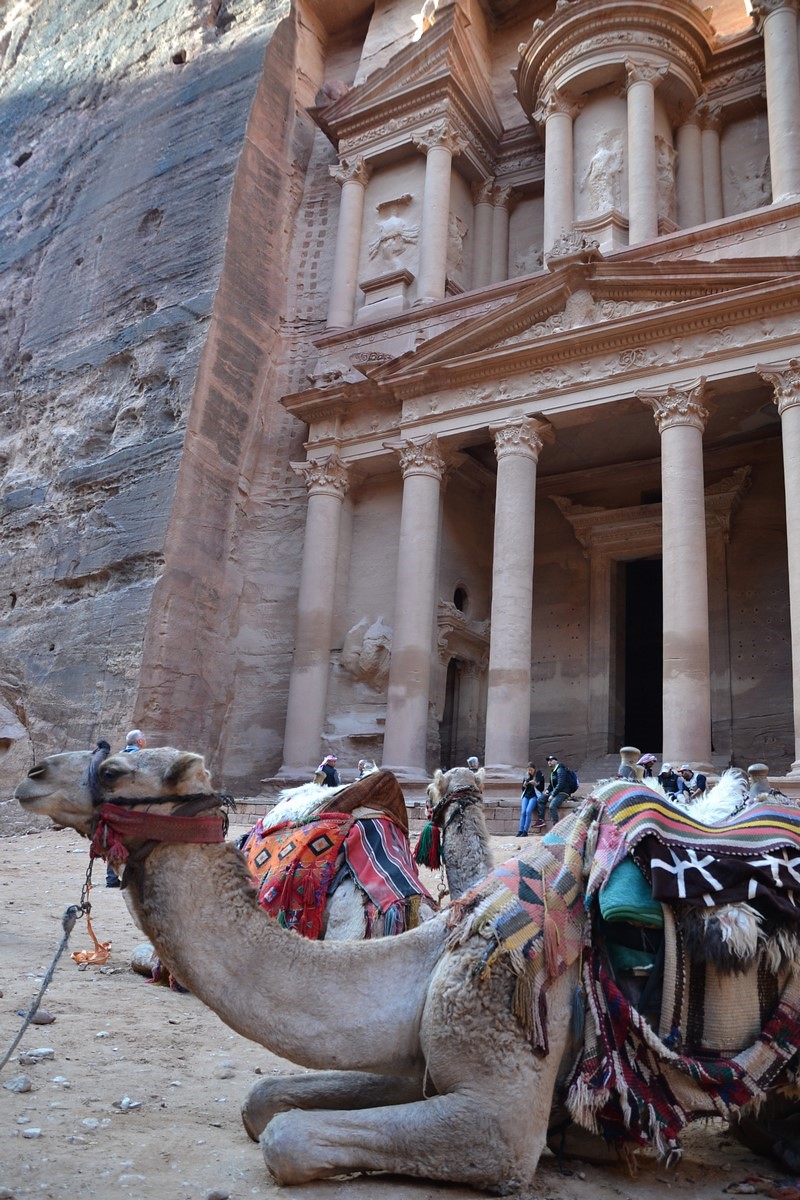 DSC_0378 (Kopiowanie).JPG