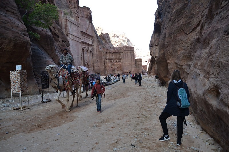 DSC_0383 (Kopiowanie).JPG